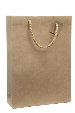 E1008 Lot de 10 x Sac Kraft nature 3 btls 390x270x90 mm