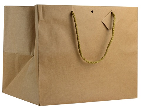 Lot de 10 x Sac Kraft Extra-Large 320x310x380 mm