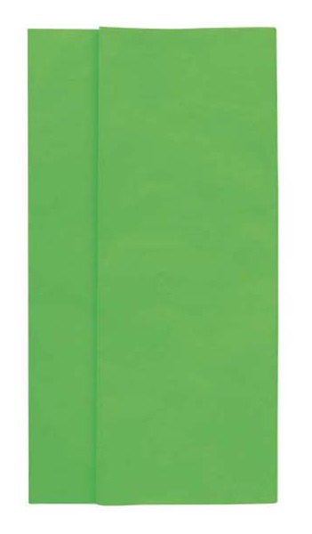 E1093 Papier de soie Vert 18g - Paquet de 240 feuilles - 50 x 75 cm colisé par 1