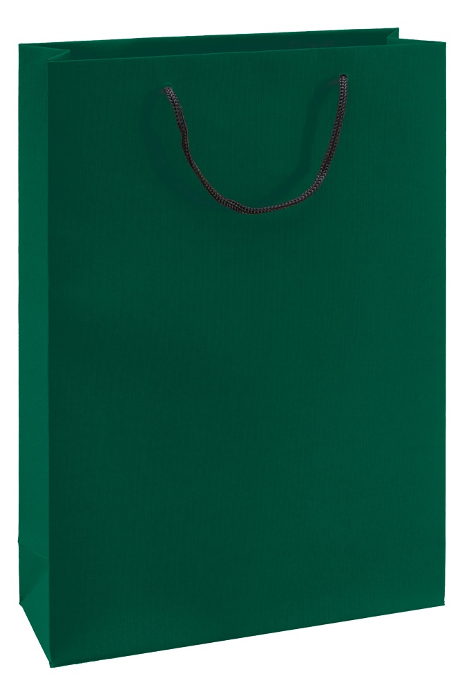3271 Sac kraft vergé vert 3B, 270 x 90 x 380 mm colisé par 25