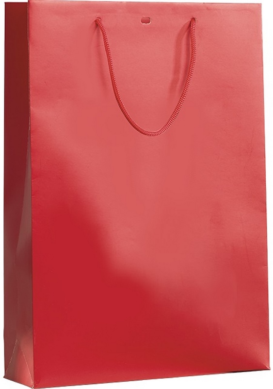 E1173 Sac kraft Rouge 3 Btlles avec intercalaire 27x9x39 cm, colisé par 24