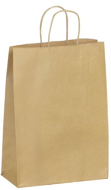 E1190 Lot de 50 x Sac eco kraft 260x120x350 mm 100 g