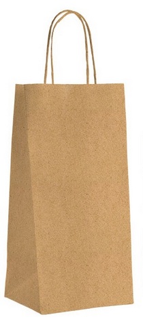 E1001b Lot de 100 Sacs Kraft ECO Nature 2 btls 180x80x400 mm