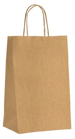 E1002b Lot de 100 Sacs Kraft ECO nature 3 btles 400x260x80 mm 100 g