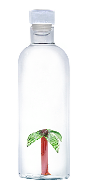 FIA1648 Bouteille PALMIER 1.1L en borosilicate