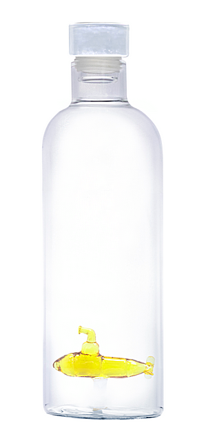 FIA1650 Bouteille SOUS-MARIN 1.1L en borosilicate