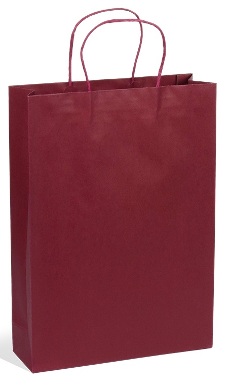 E1248 Lot de 25 sac eco kraft 3 Btlles LDV 120g 380x100x90 mm