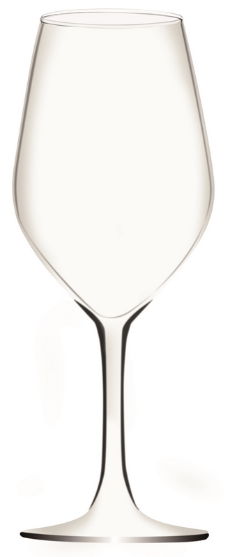 Boîte de 6 Verres VITUS 26 cl